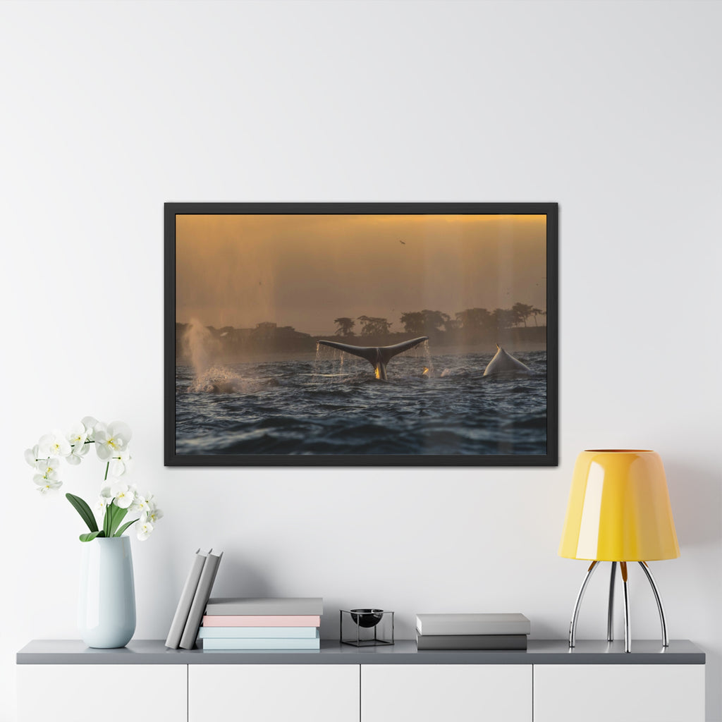 Whale Pair Framed Poster