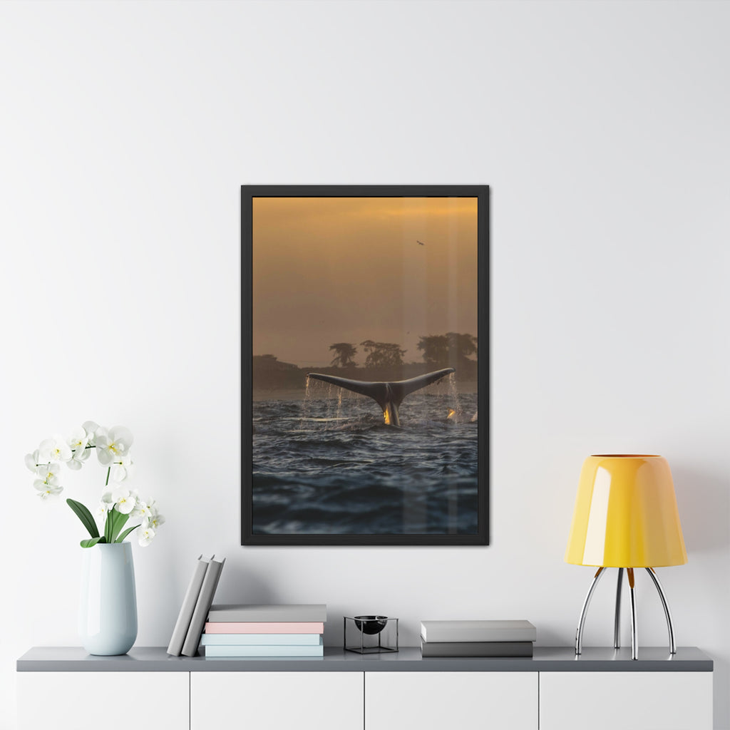 Whale Pair Framed Poster