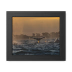 Whale Pair Framed Poster