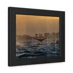 Whale Pair Framed Poster