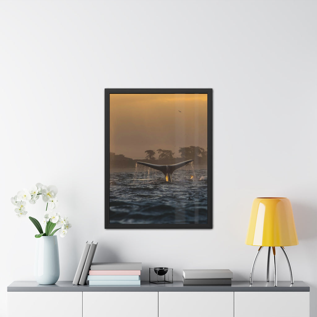 Whale Pair Framed Poster