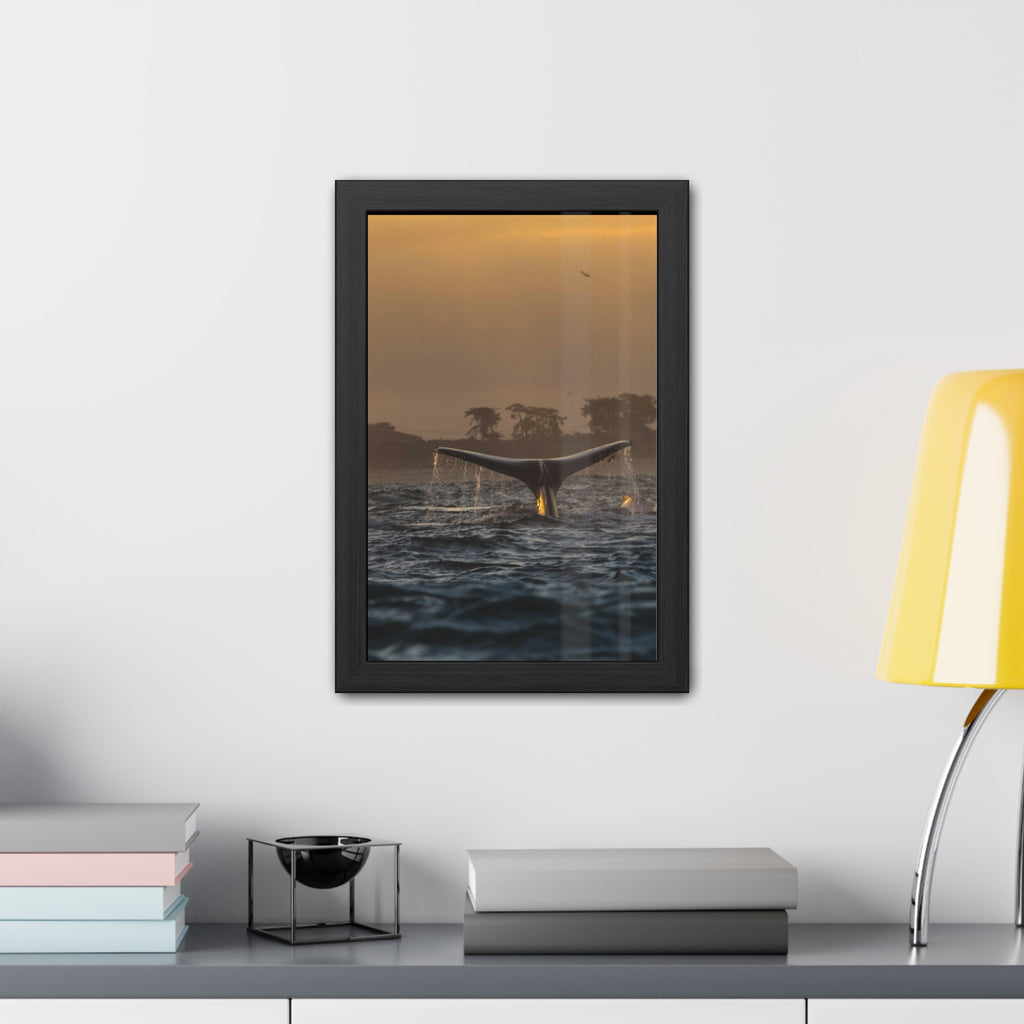 Whale Pair Framed Poster