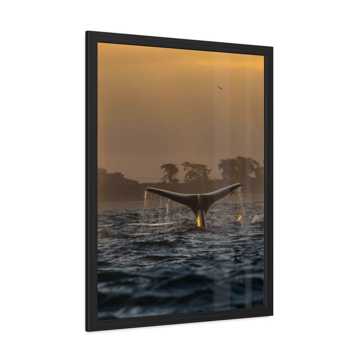 Whale Pair Framed Poster