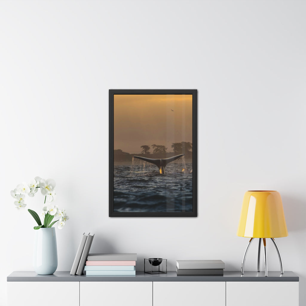 Whale Pair Framed Poster