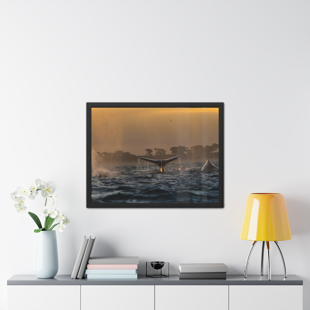 Whale Pair Framed Poster