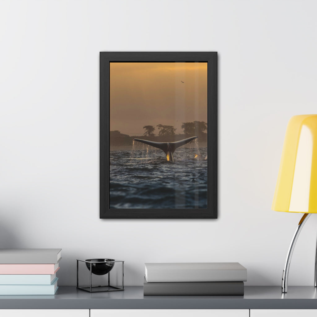 Whale Pair Framed Poster