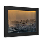 Whale Pair Framed Poster