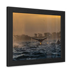 Whale Pair Framed Poster