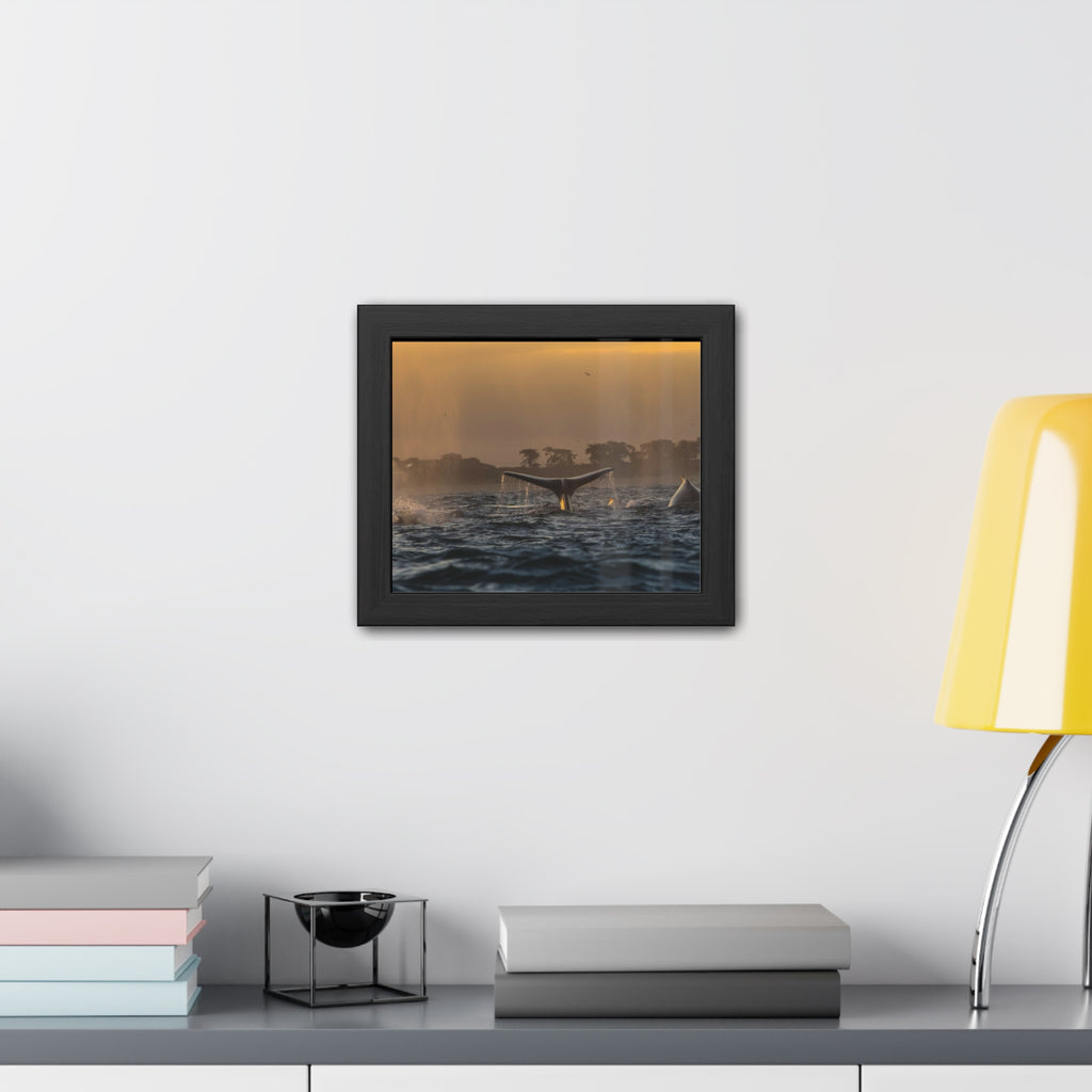 Whale Pair Framed Poster