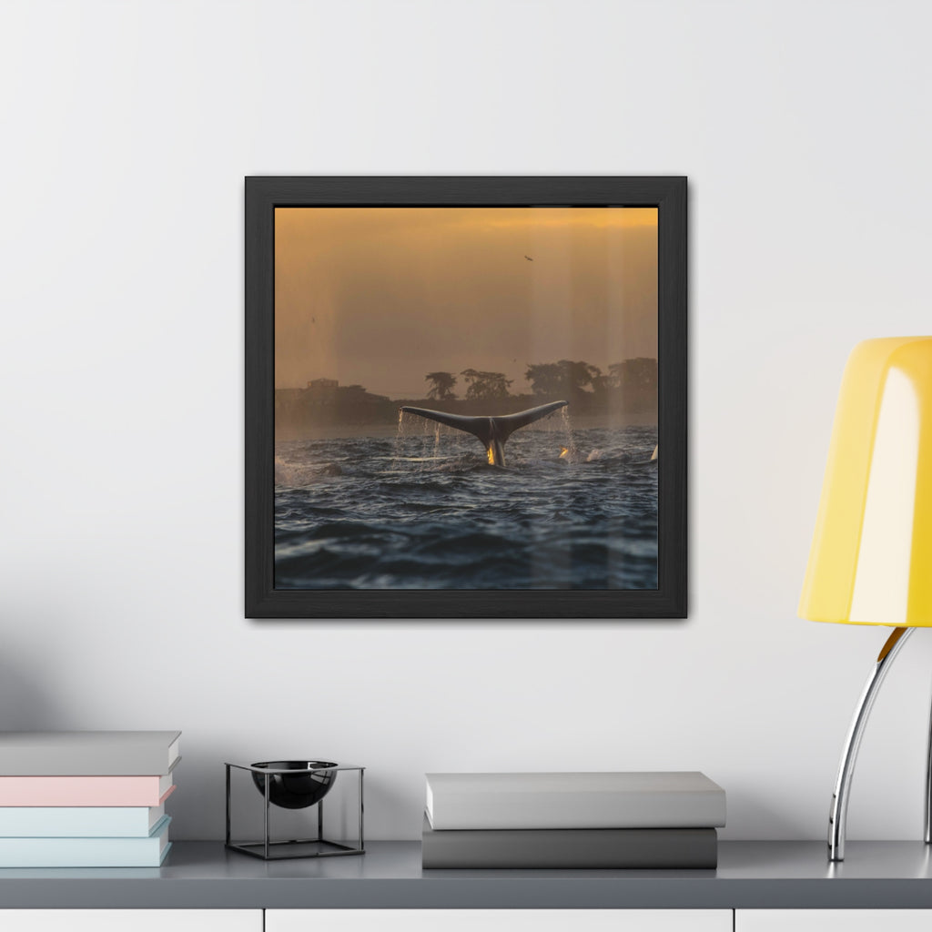 Whale Pair Framed Poster