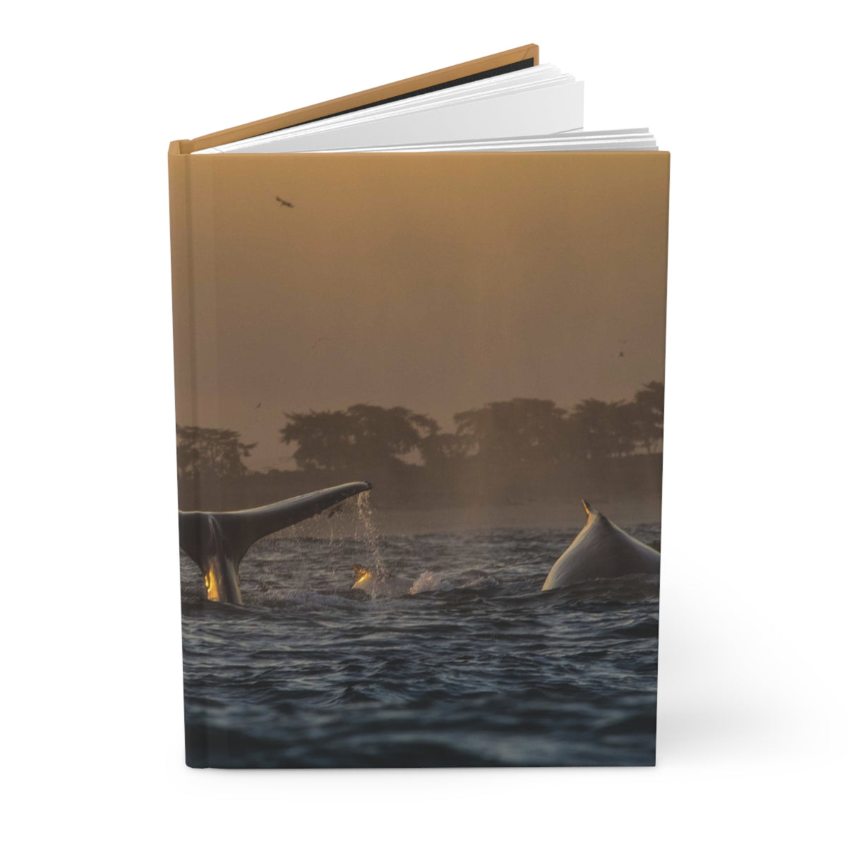 Whale Pair Hardcover Journal