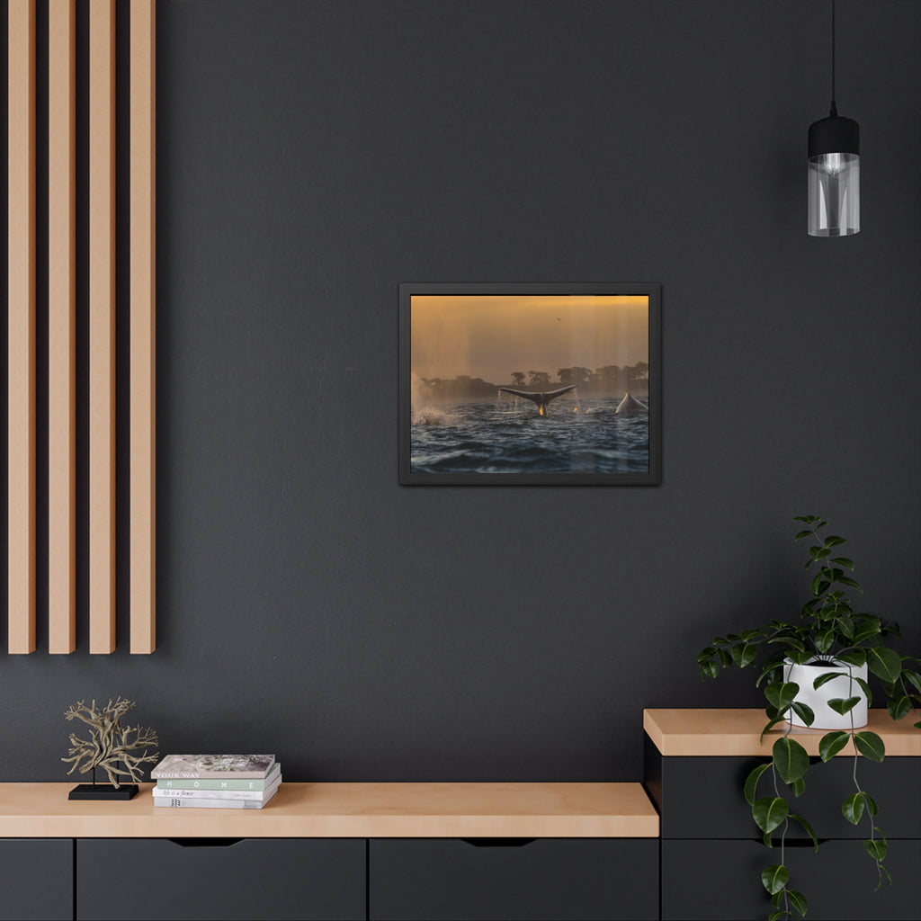 Whale Pair Framed Poster