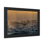 Whale Pair Framed Poster