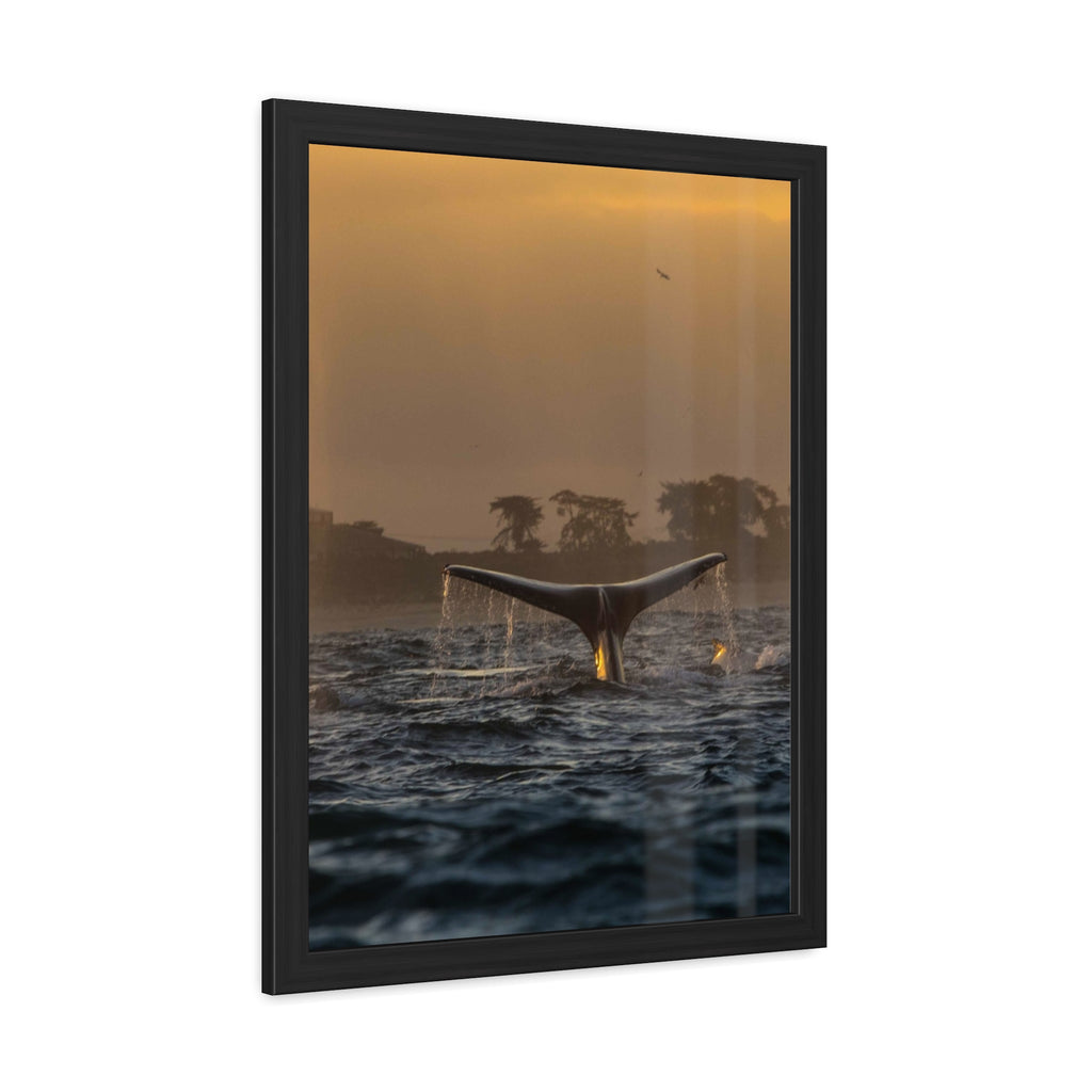 Whale Pair Framed Poster