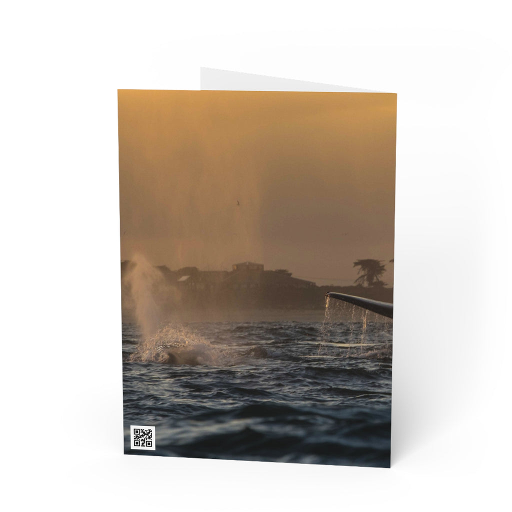 Whale Pair Greeting Card