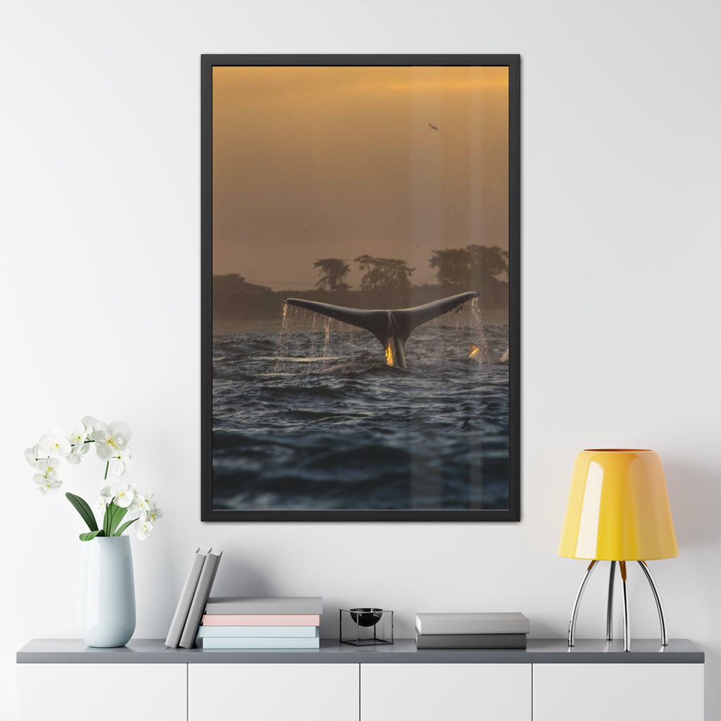 Whale Pair Framed Poster