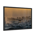 Whale Pair Framed Poster