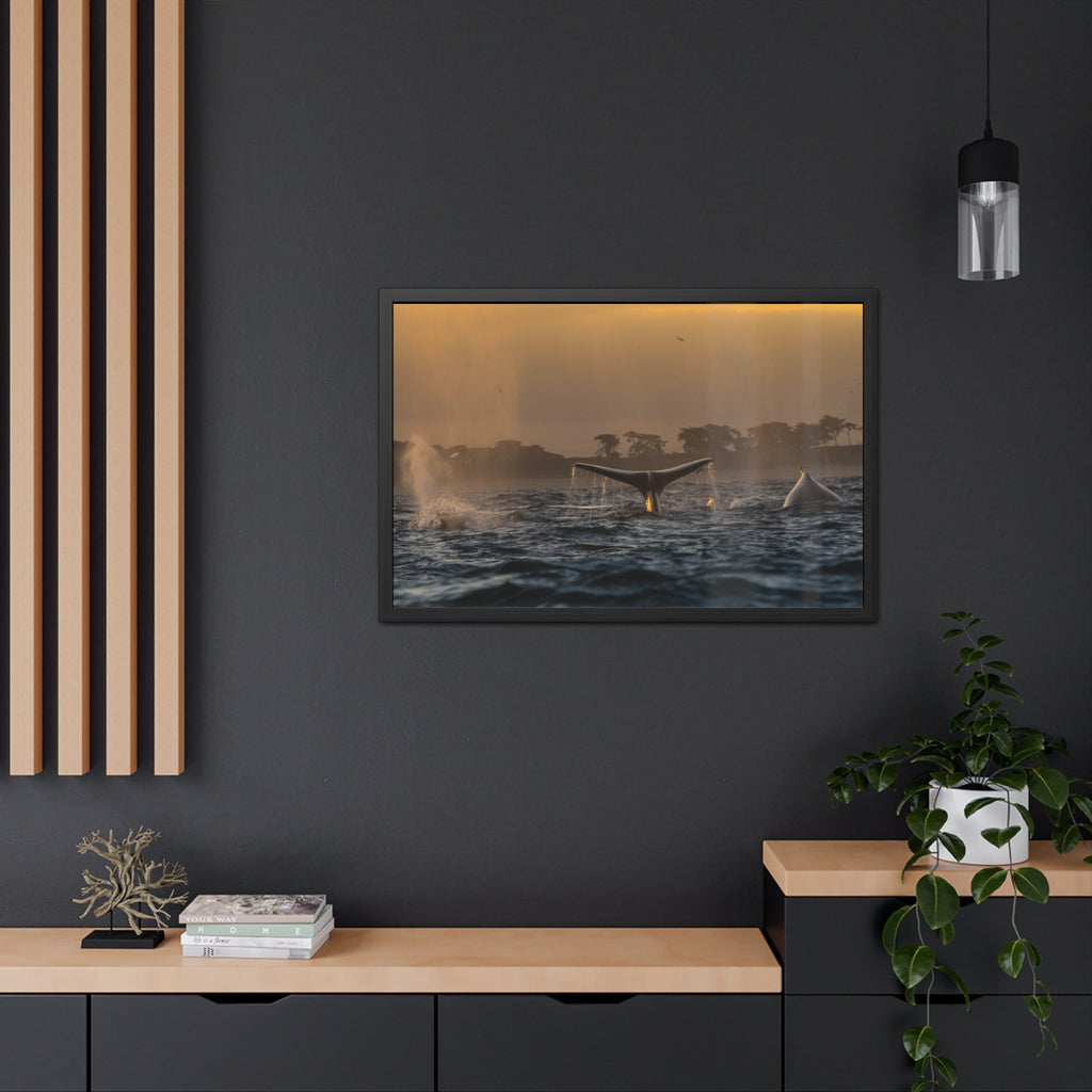 Whale Pair Framed Poster