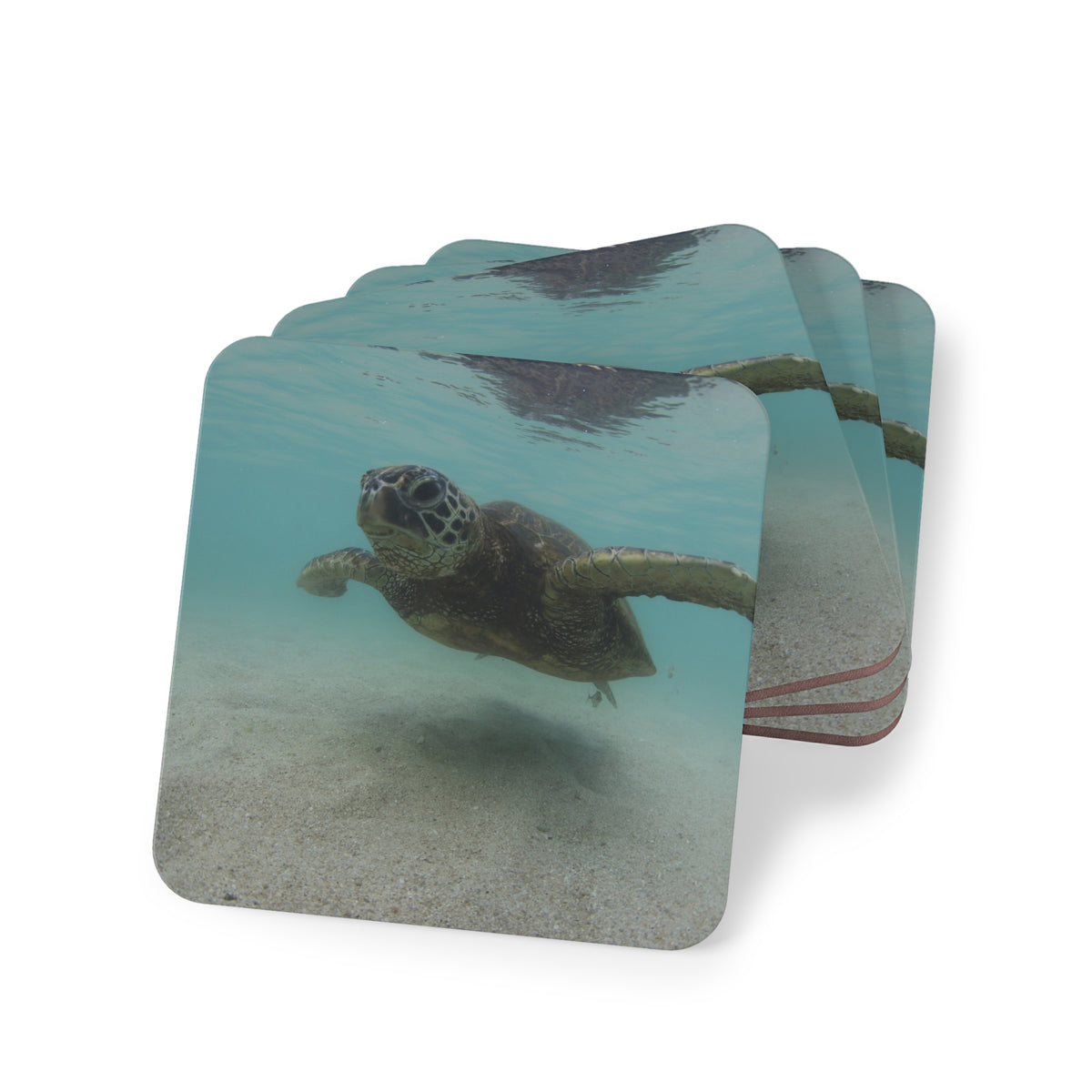 Turtle Glide Coaster Set
