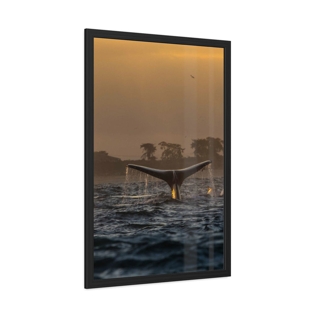 Whale Pair Framed Poster