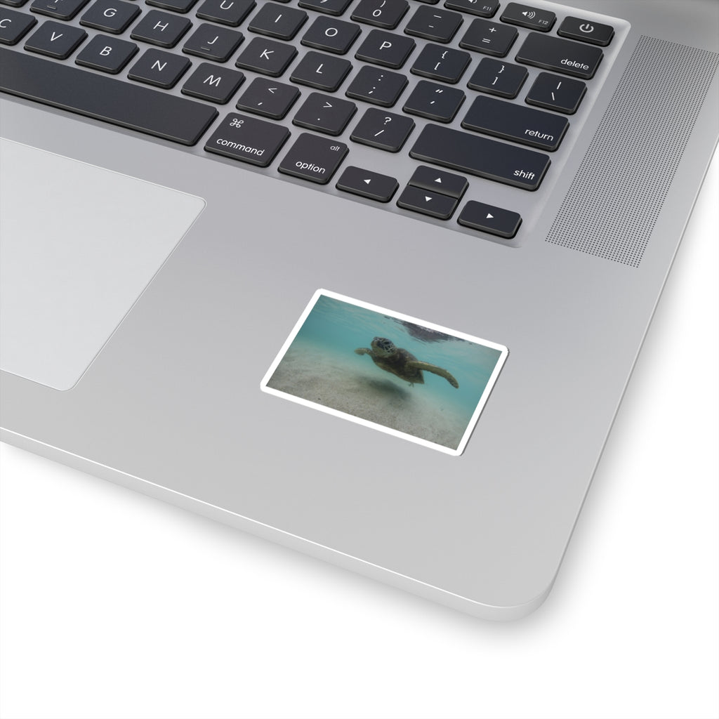 Turtle Glide Kiss-Cut Stickers