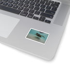 Turtle Glide Kiss-Cut Stickers