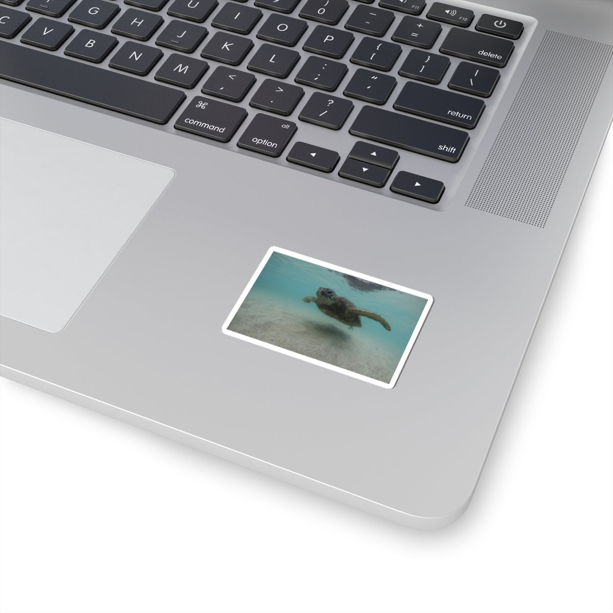 Turtle Glide Kiss-Cut Stickers