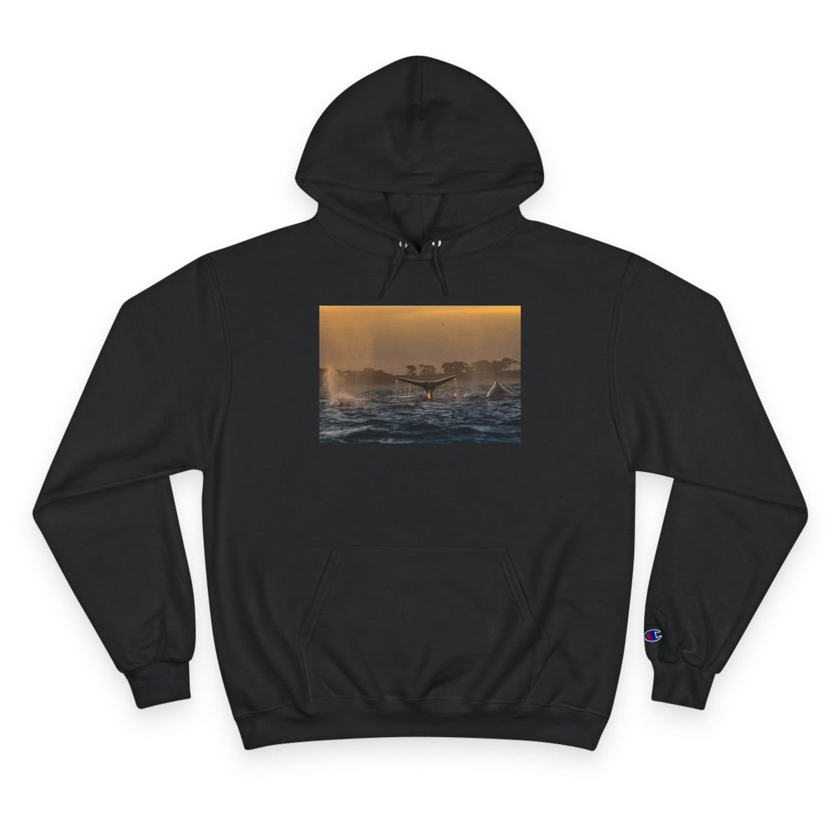 Whale Pair Champion Hoodie