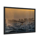 Whale Pair Framed Poster