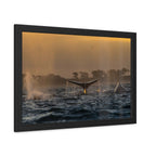 Whale Pair Framed Poster