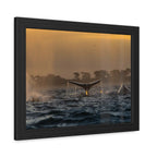 Whale Pair Framed Poster