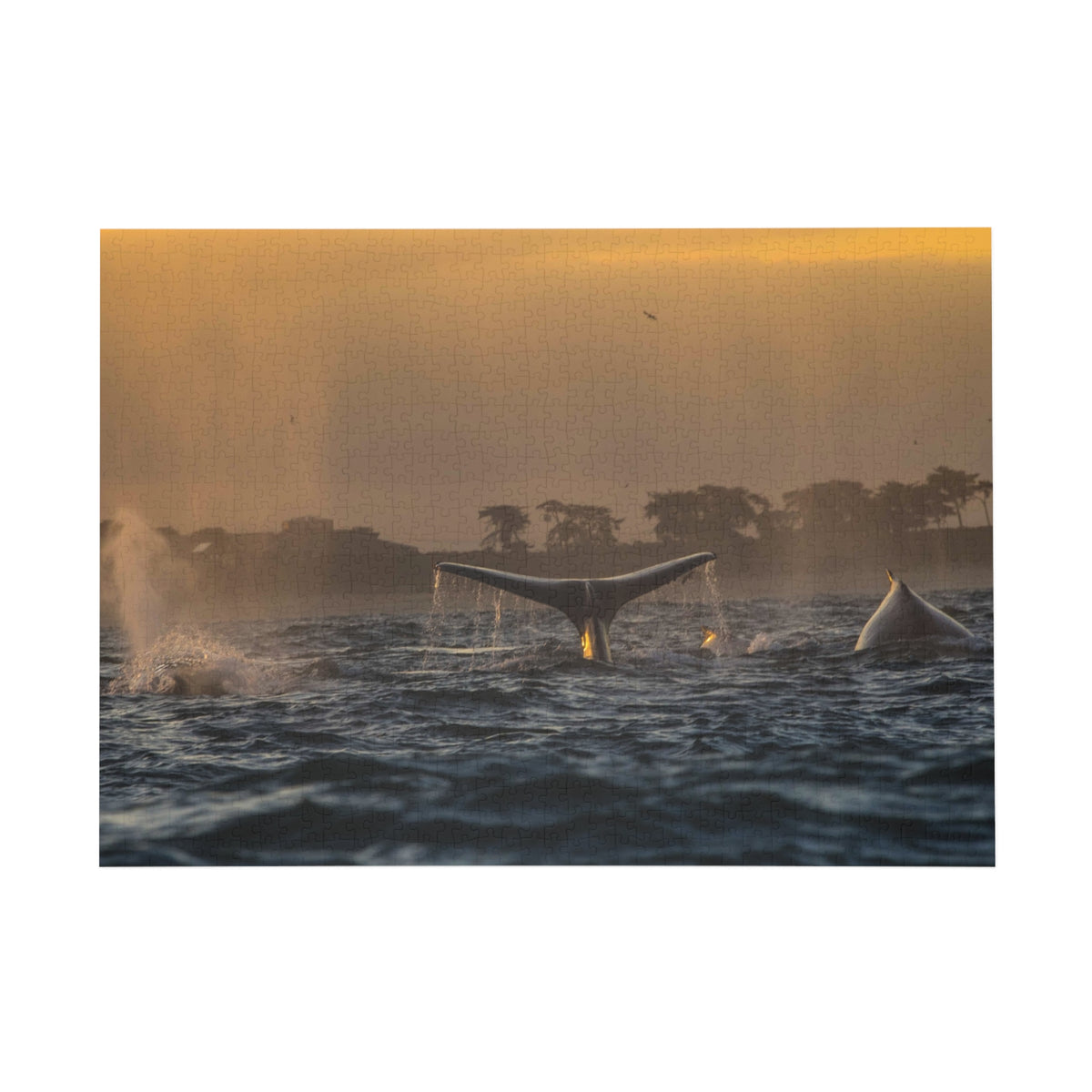 Whale Pair Jigsaw Puzzle