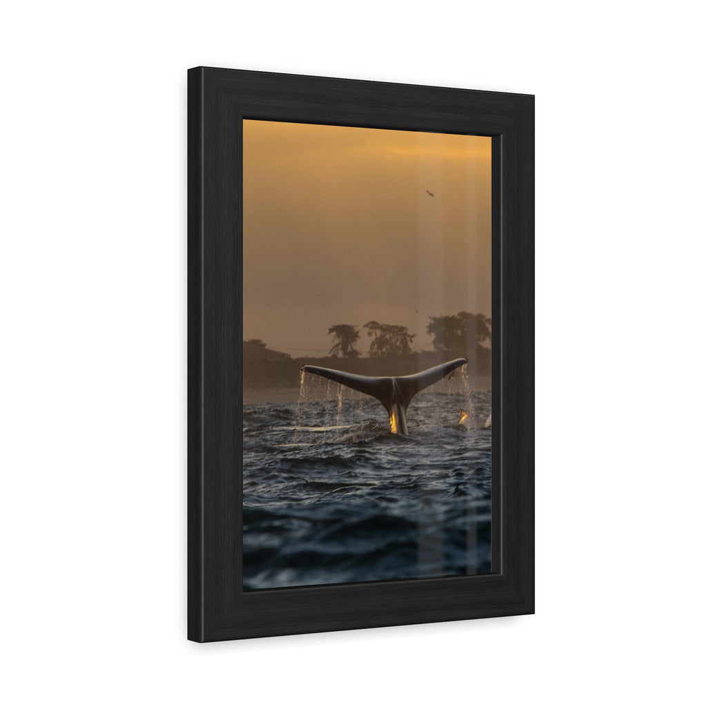 Whale Pair Framed Poster