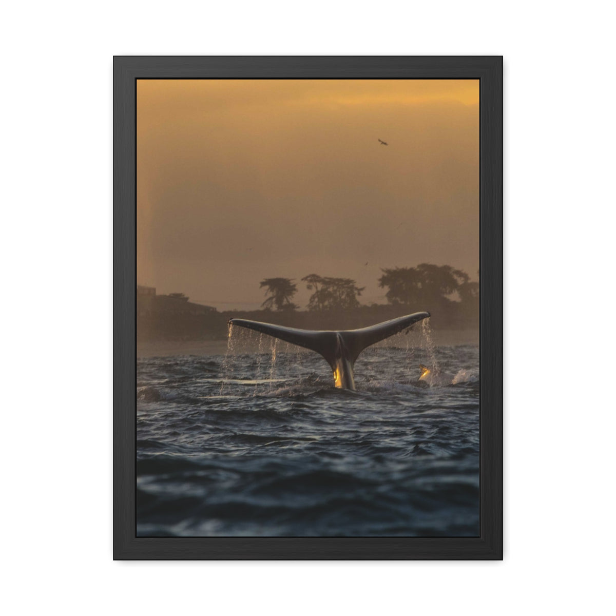 Whale Pair Framed Poster