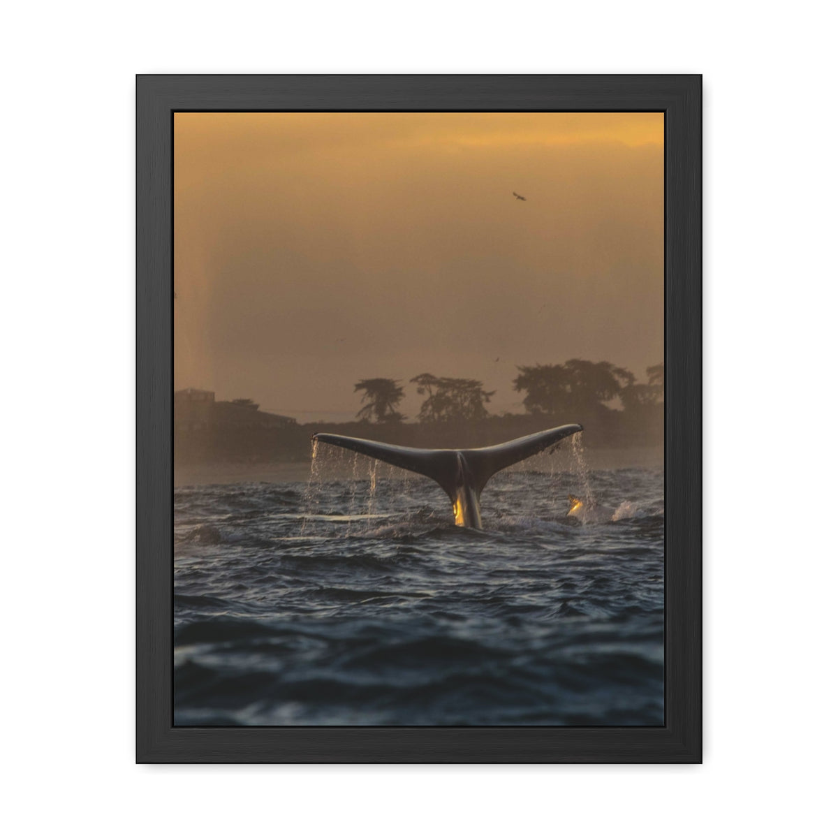 Whale Pair Framed Poster