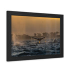 Whale Pair Framed Poster
