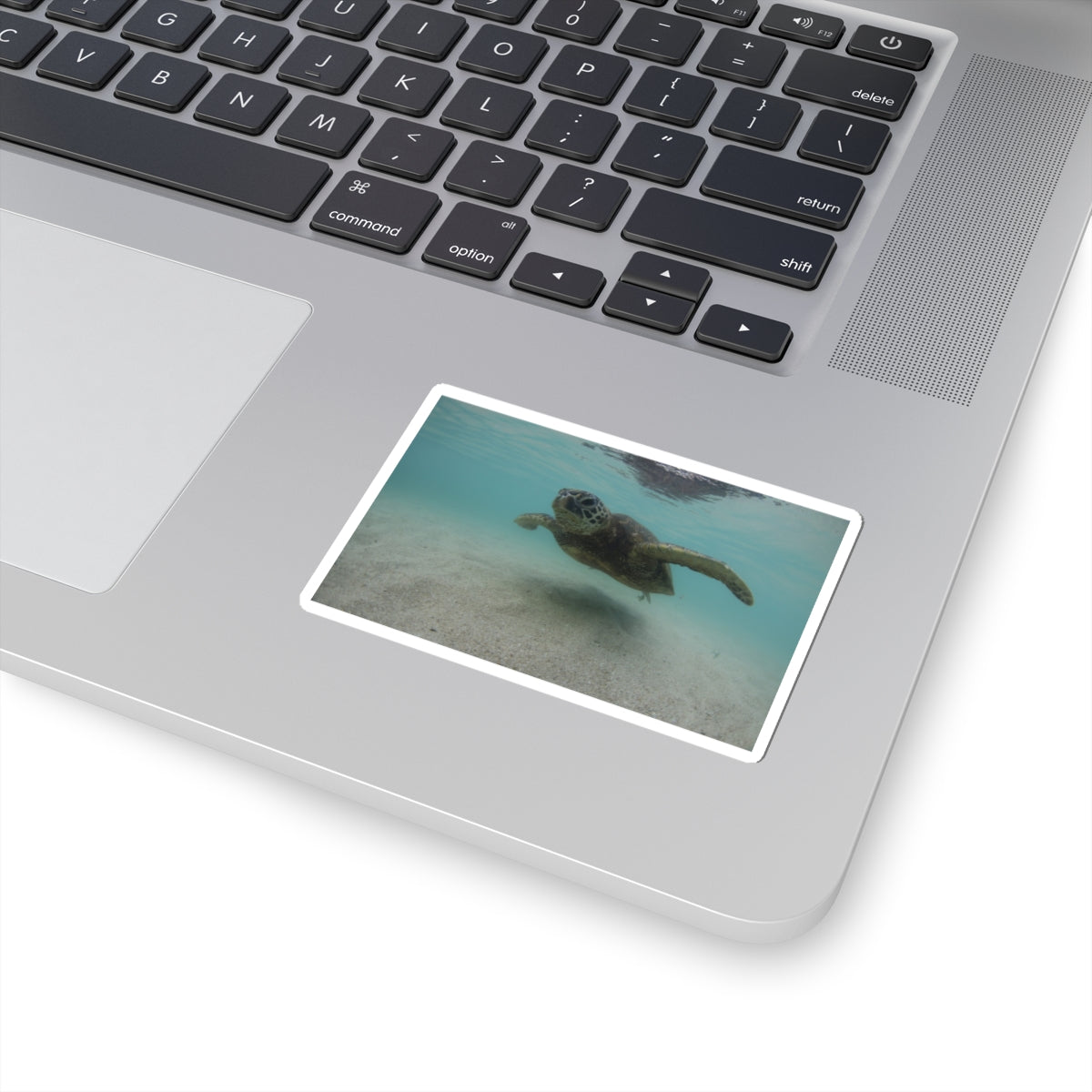 Turtle Glide Kiss-Cut Stickers