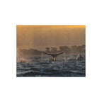 Whale Pair Jigsaw Puzzle