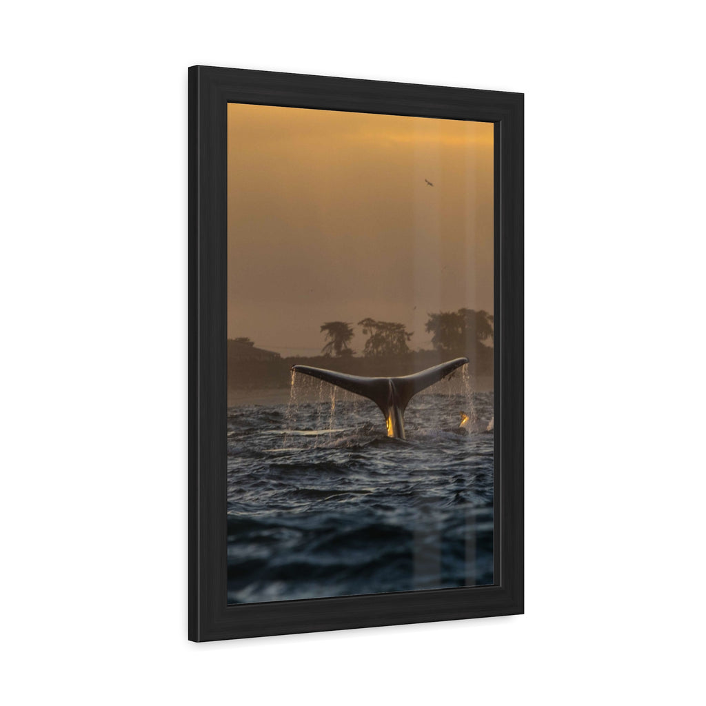 Whale Pair Framed Poster