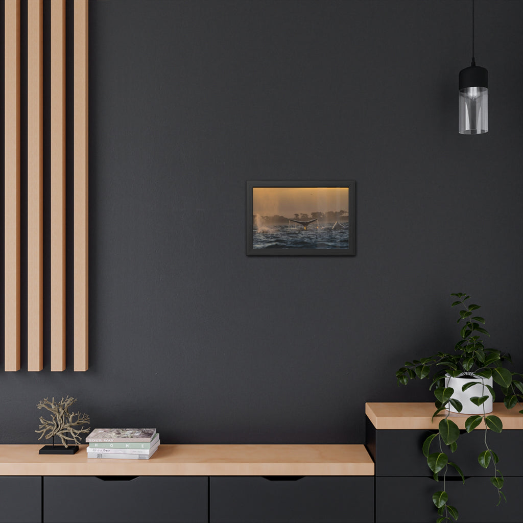 Whale Pair Framed Poster
