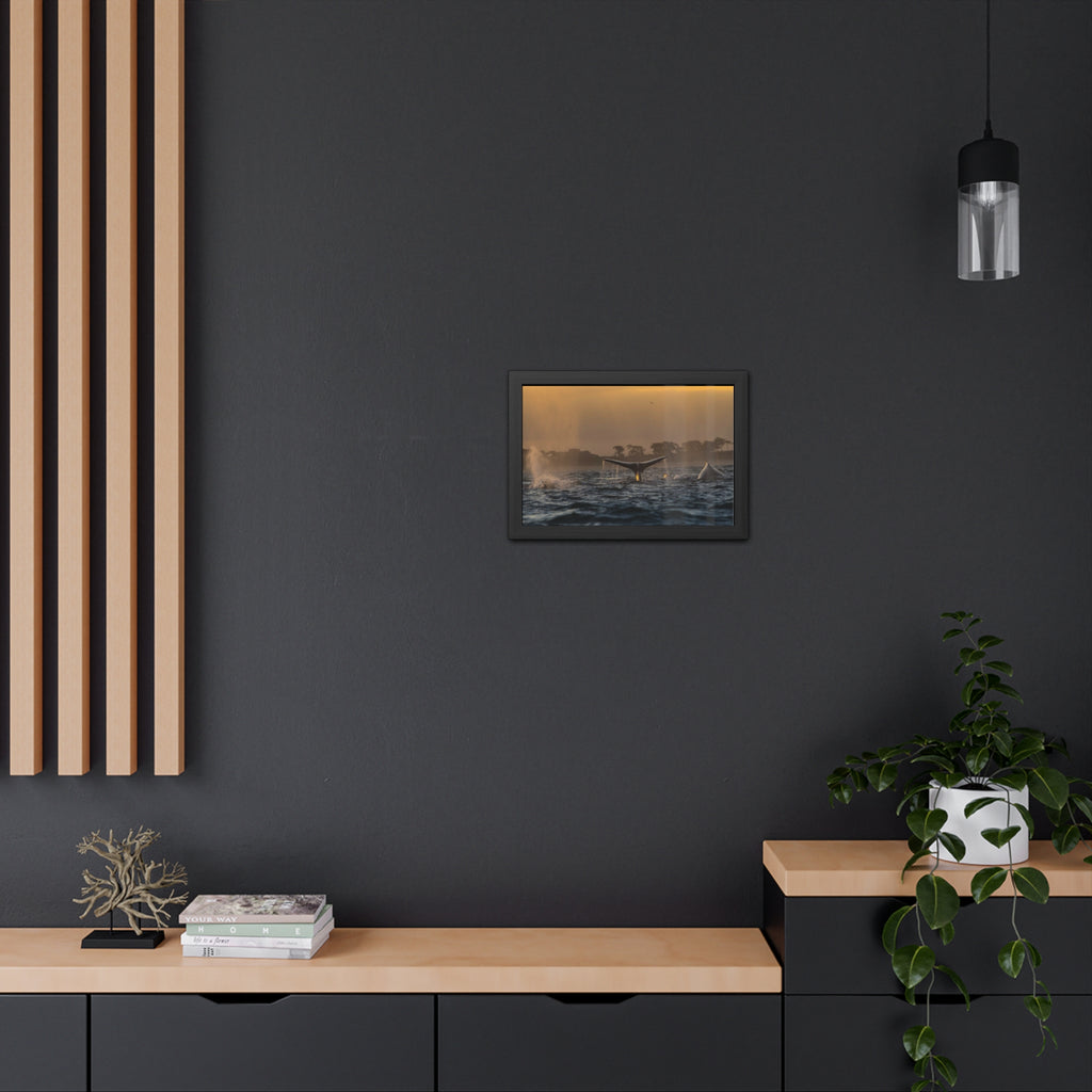 Whale Pair Framed Poster