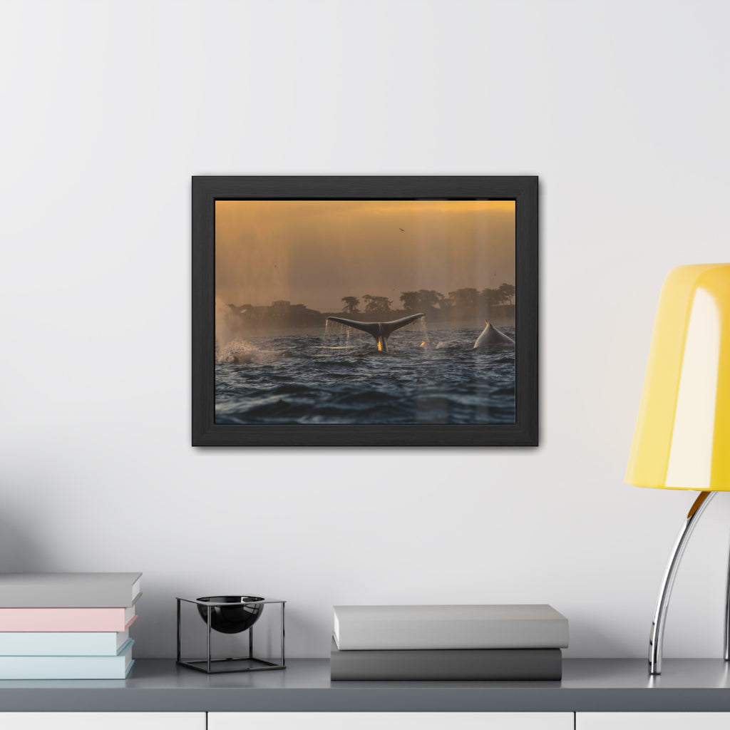 Whale Pair Framed Poster