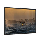 Whale Pair Framed Poster