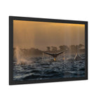 Whale Pair Framed Poster