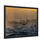 Whale Pair Framed Poster