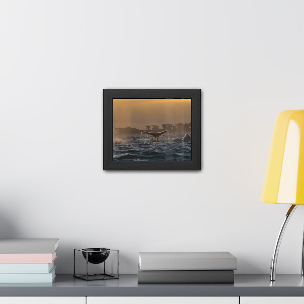 Whale Pair Framed Poster