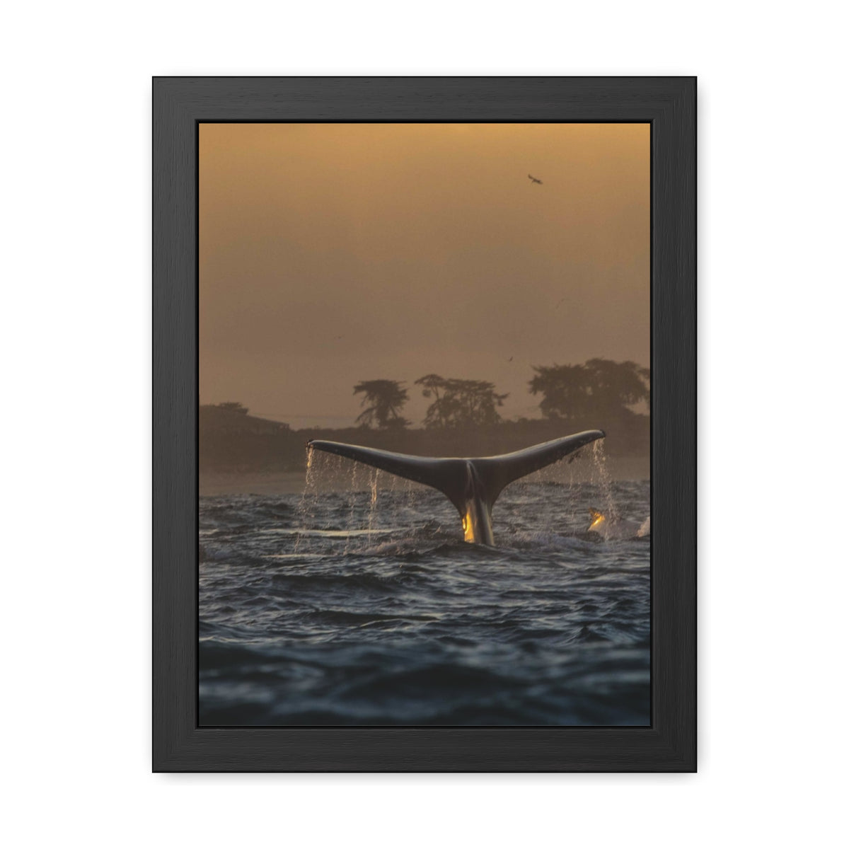 Whale Pair Framed Poster