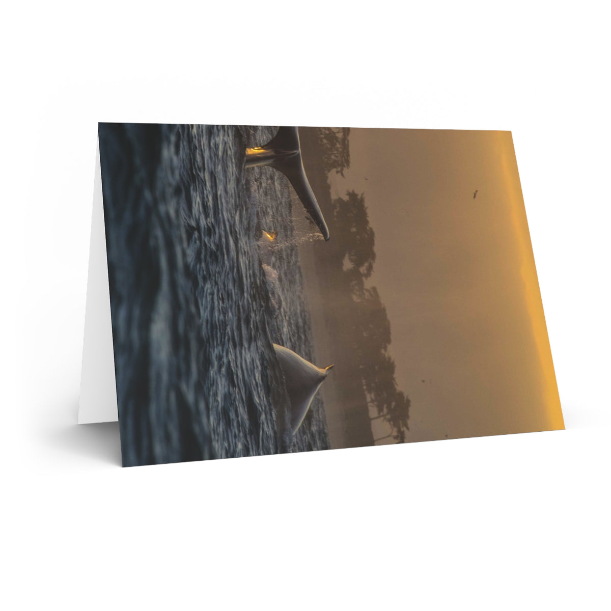 Whale Pair Greeting Card