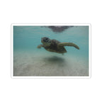 Turtle Glide Kiss-Cut Stickers