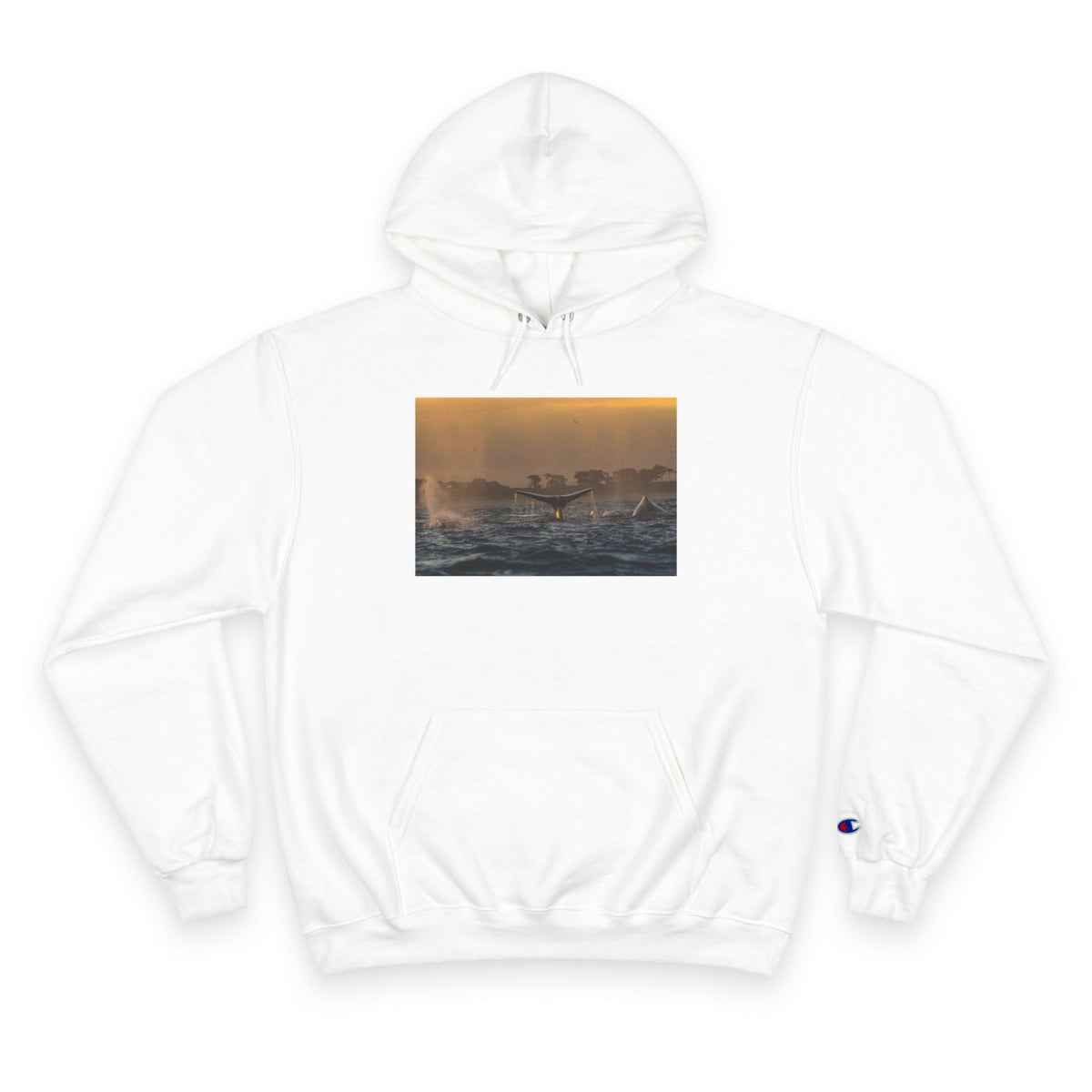 Whale Pair Champion Hoodie